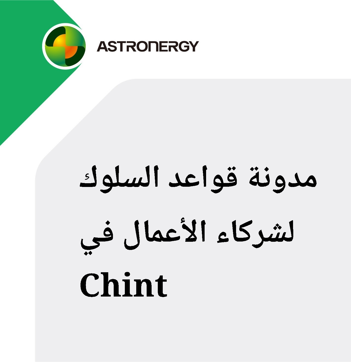 Chint مدونة قواعد السلوك لشركاء الأعمال في