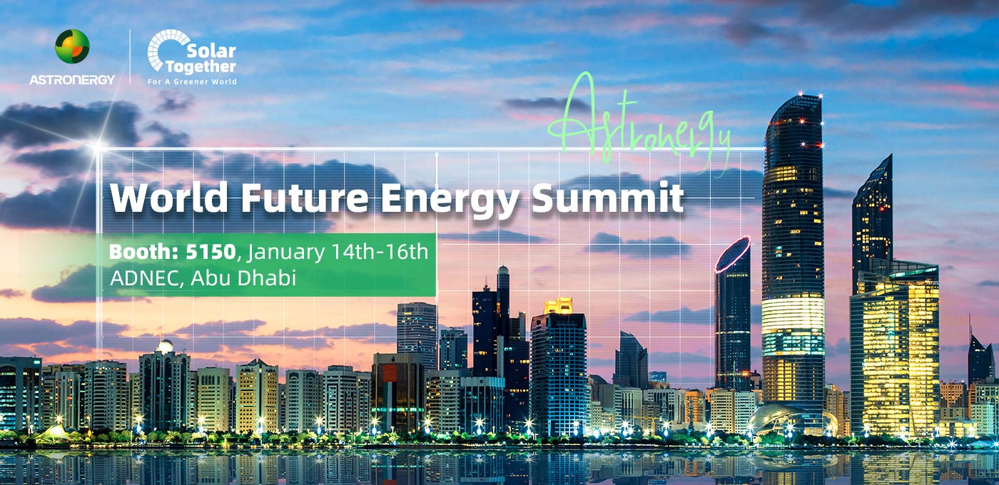 World Future Energy Summit 2025